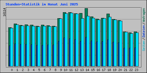 Stunden-Statistik im Monat Juni 2025