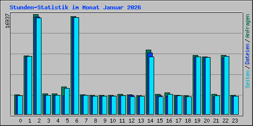 Stunden-Statistik im Monat Januar 2026